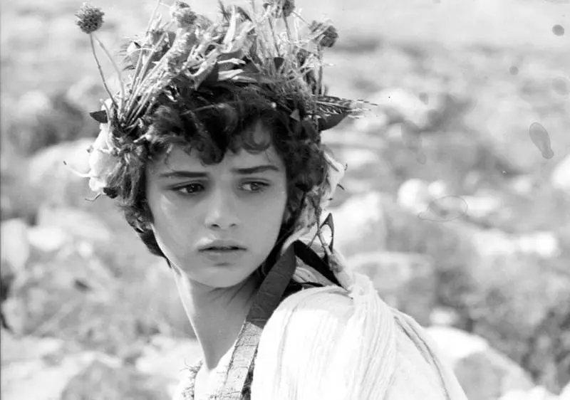 伊菲吉妮娅剧照1