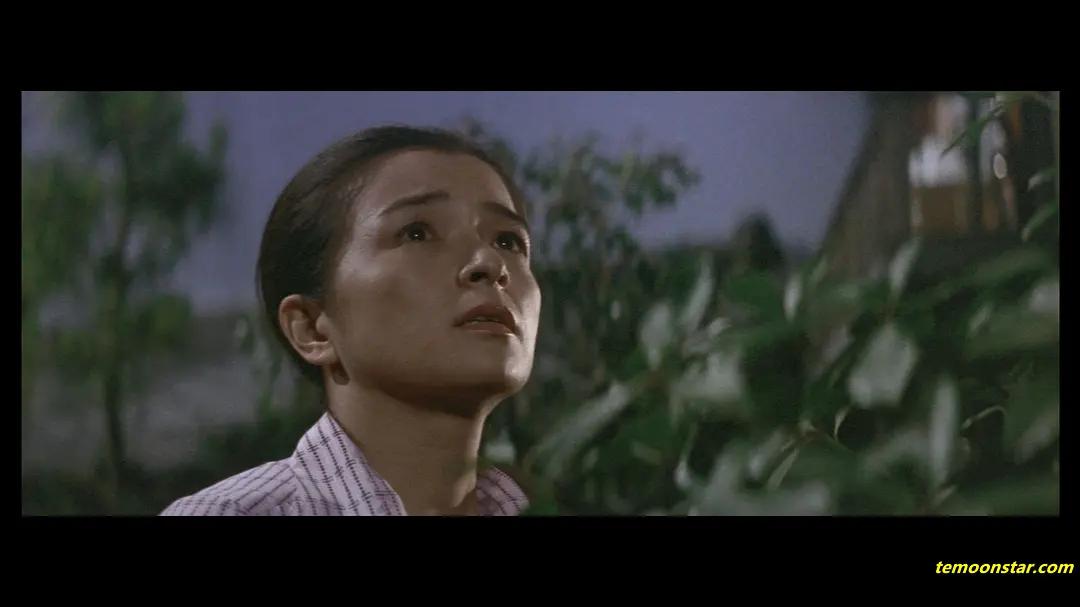 寅次郎的故事19：寅次郎与贵族剧照2