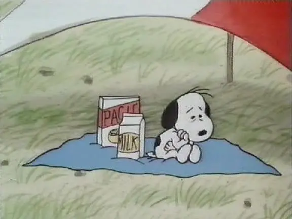 史努比的惊险夏令营剧照3