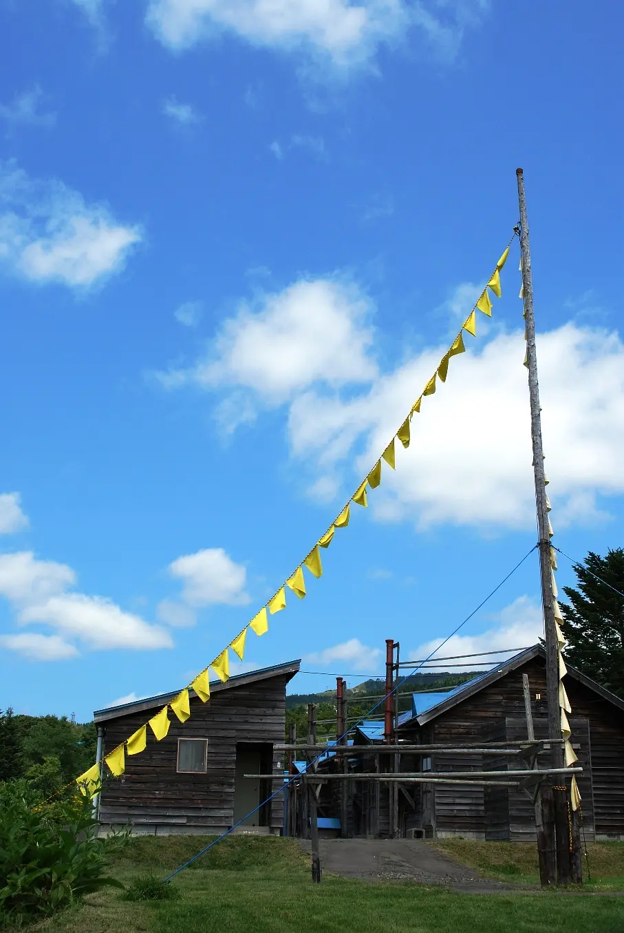 幸福的黄手帕剧照1