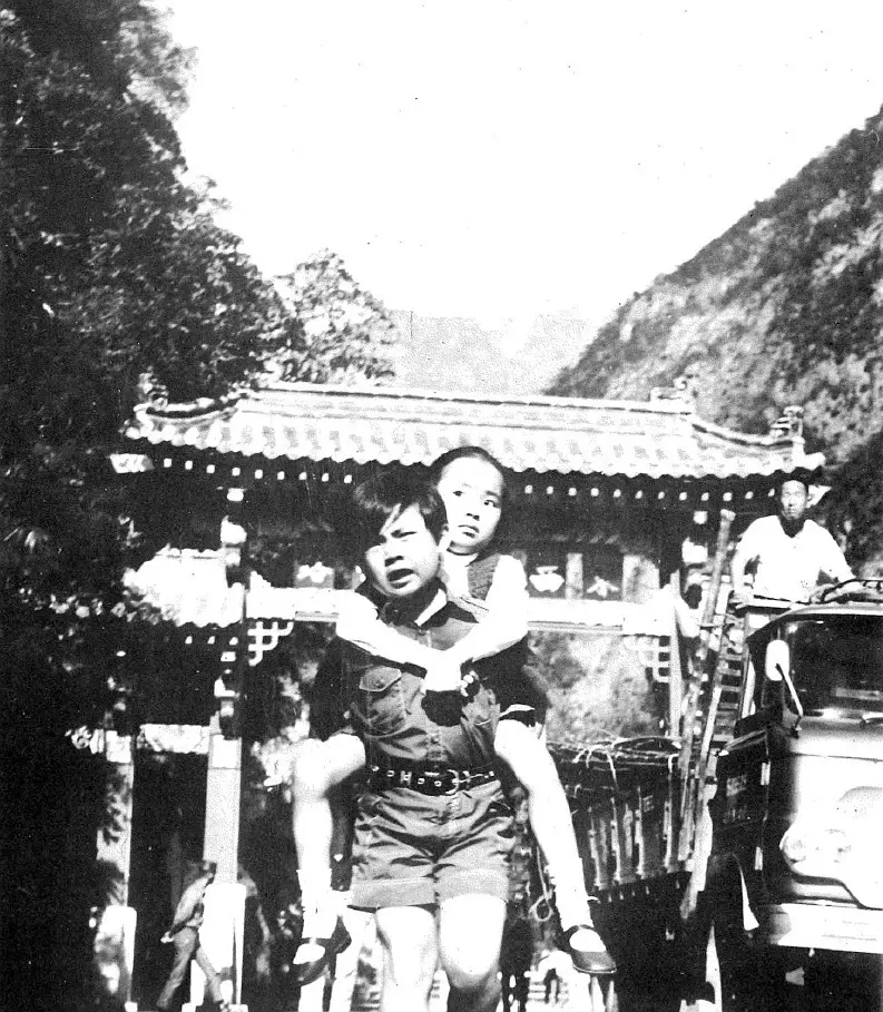 寻母三万里剧照1