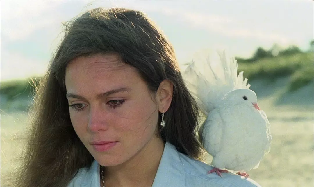 毕加索的奇异旅程剧照1