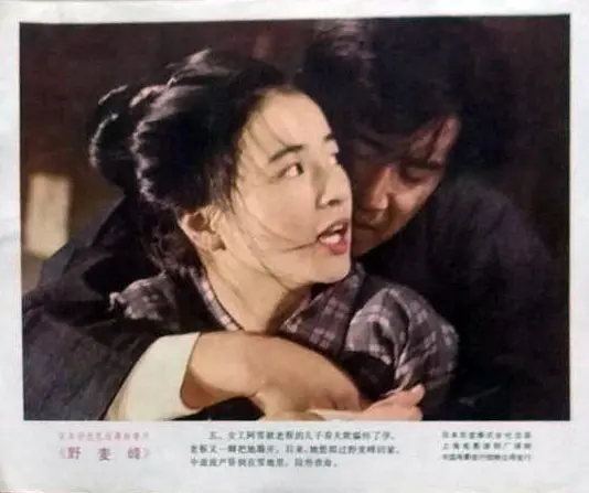 啊！野麦岭剧照1