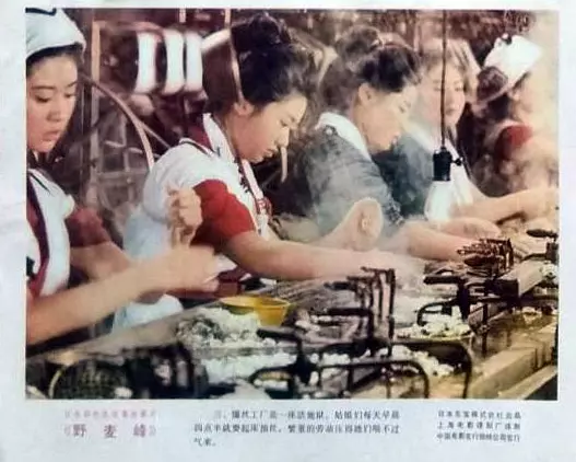 啊！野麦岭剧照2