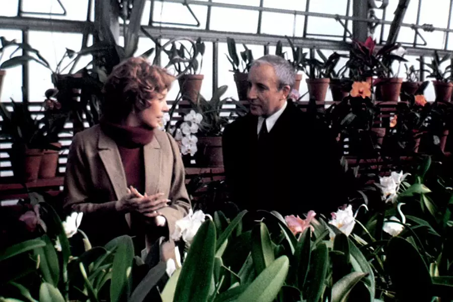 富贵逼人来剧照1