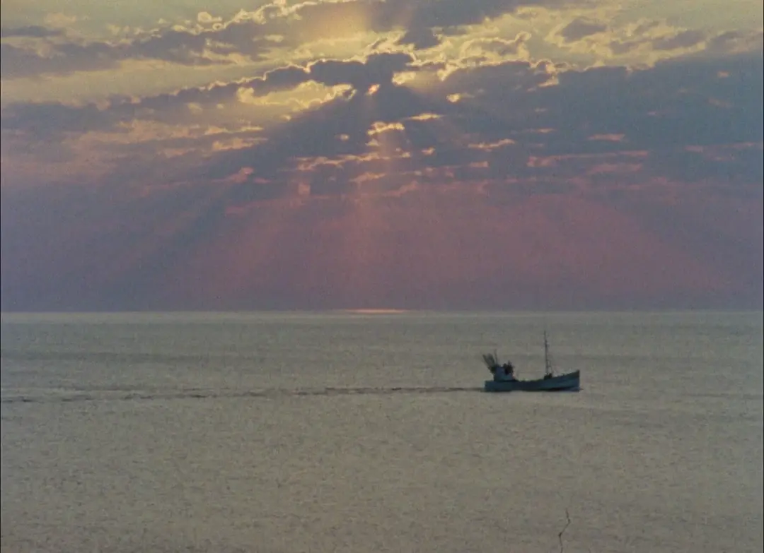 法罗档案1979剧照3