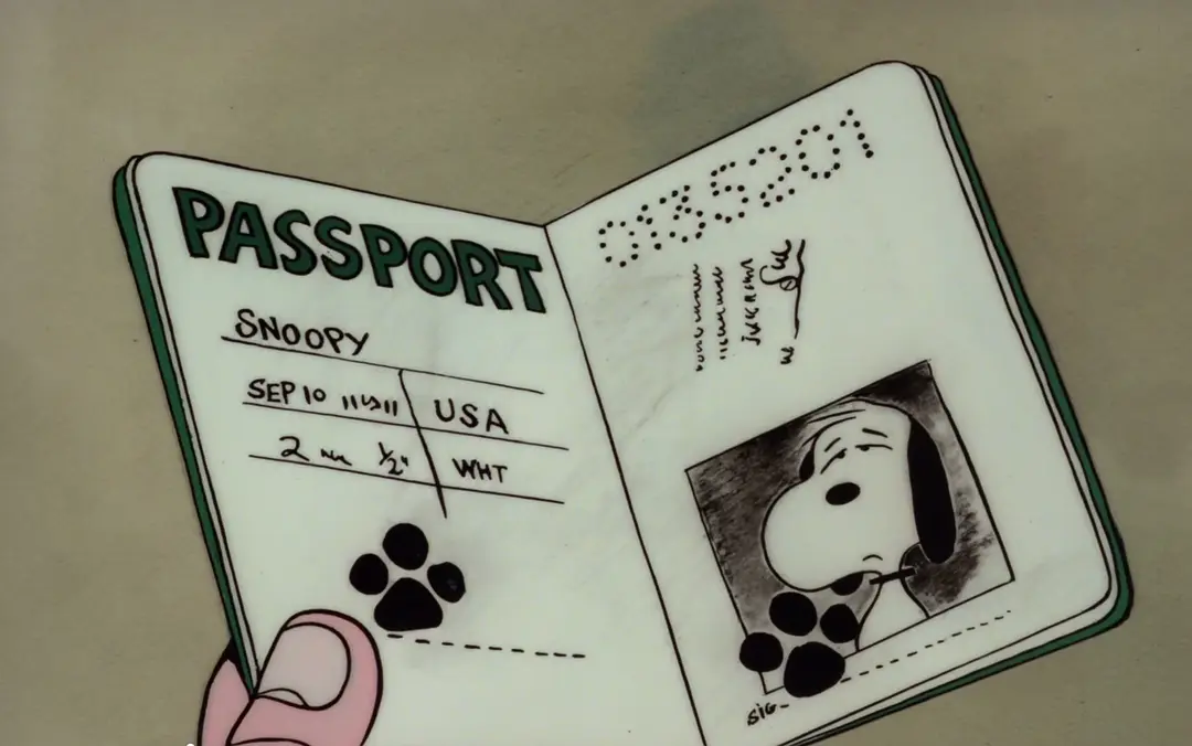 一路顺风，查理布朗剧照1