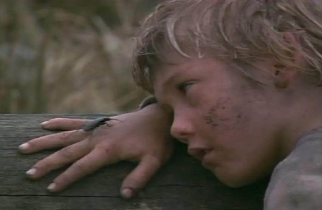 荒野有情天剧照2