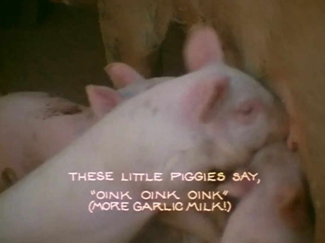 大蒜胜十妈剧照2