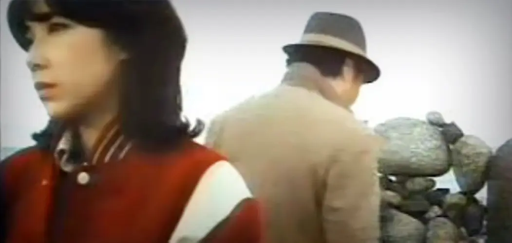 寅次郎的故事26：寅次郎海鸥之歌剧照1