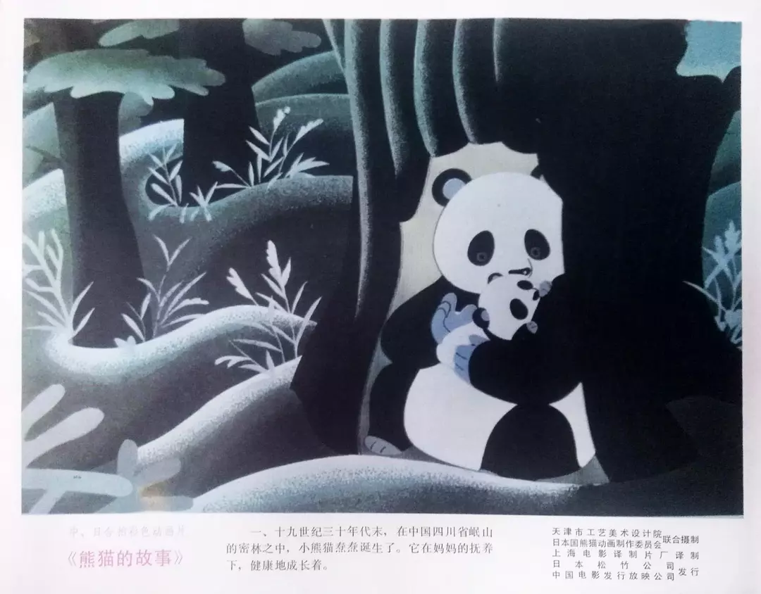 熊猫的故事剧照2