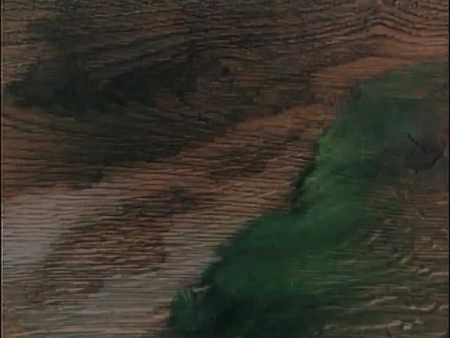 吹笛子的男人剧照2