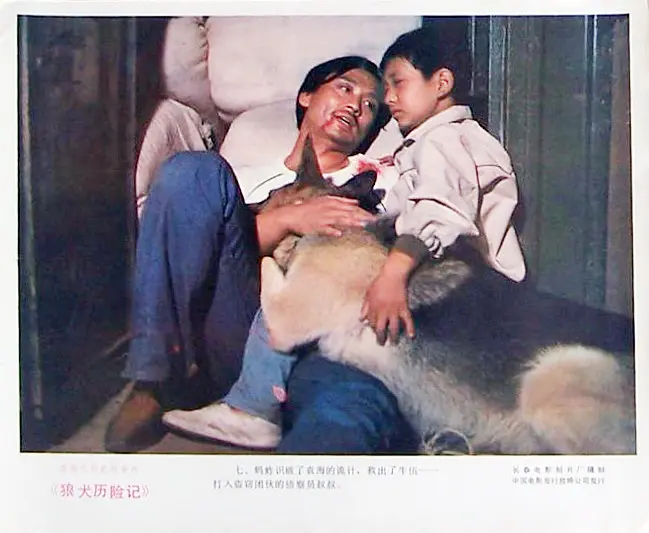 狼犬历险记剧照1