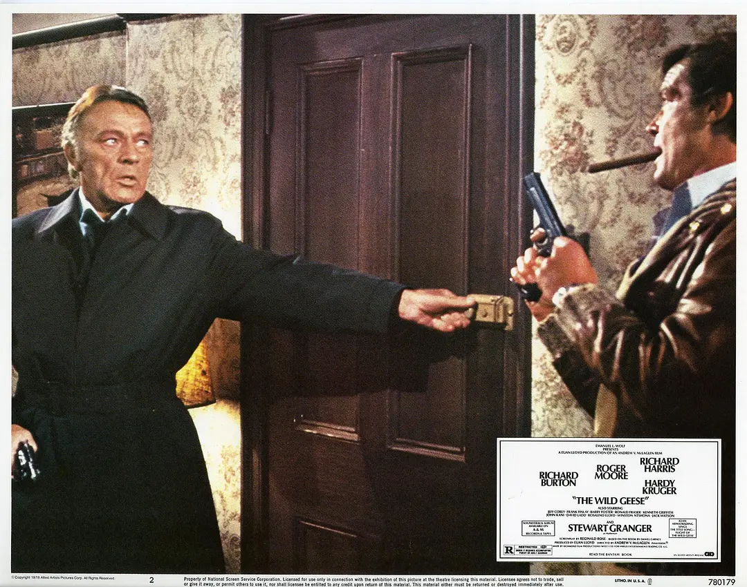 野鹅敢死队剧照2