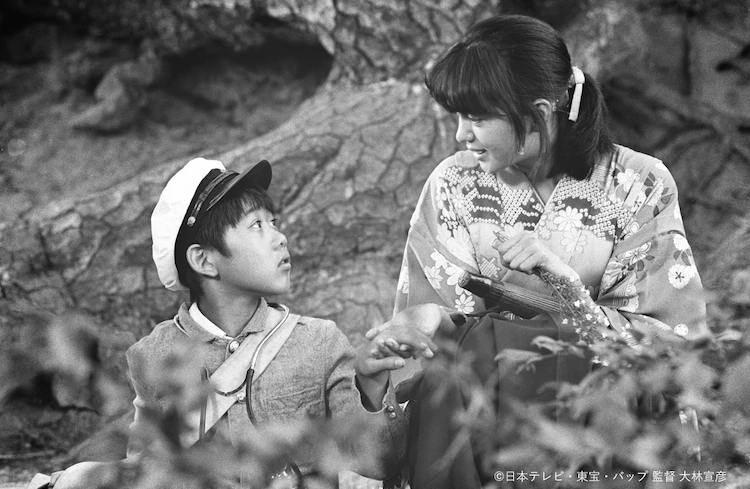 原野、山峰、海滩剧照1