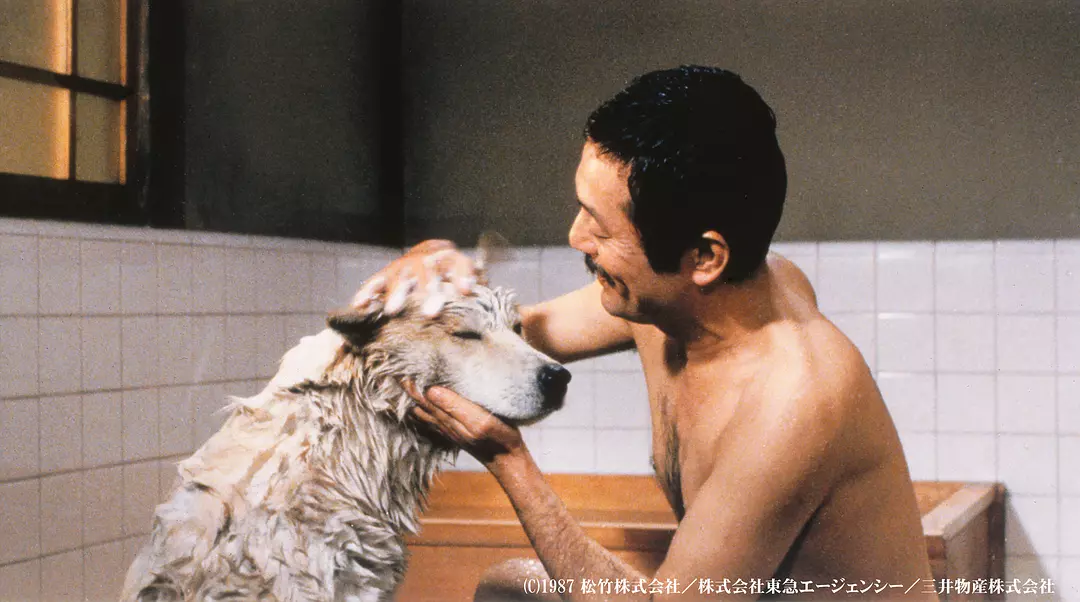 忠犬八公物语剧照1