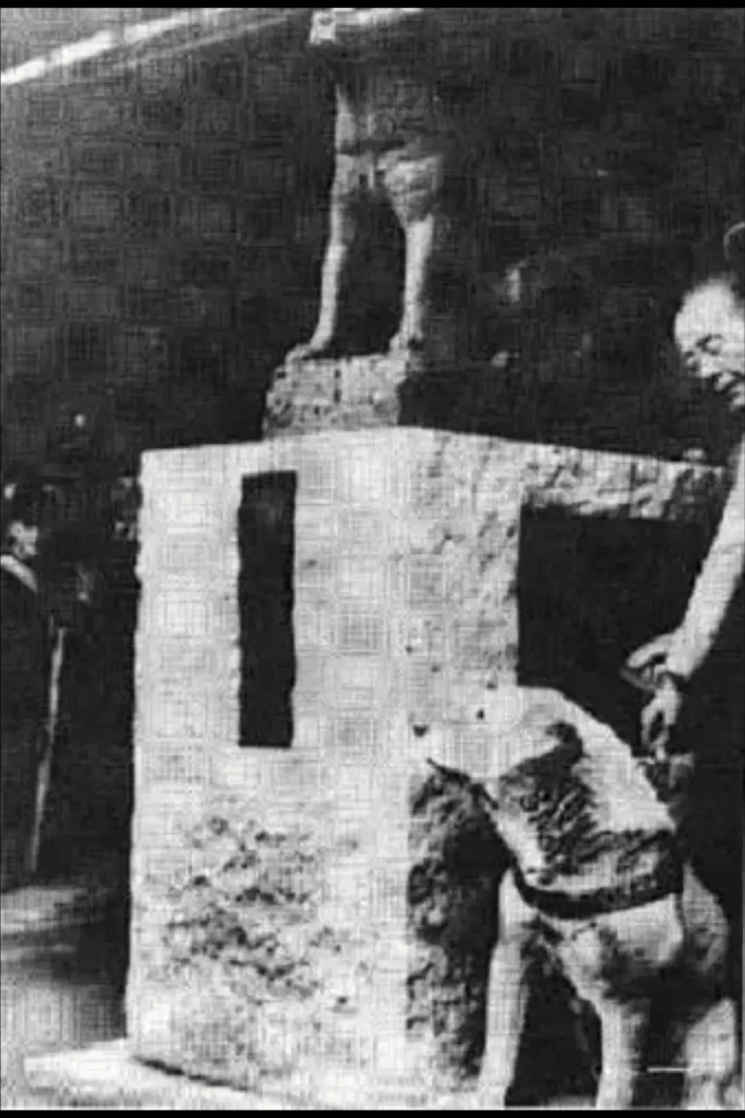 忠犬八公物语剧照2