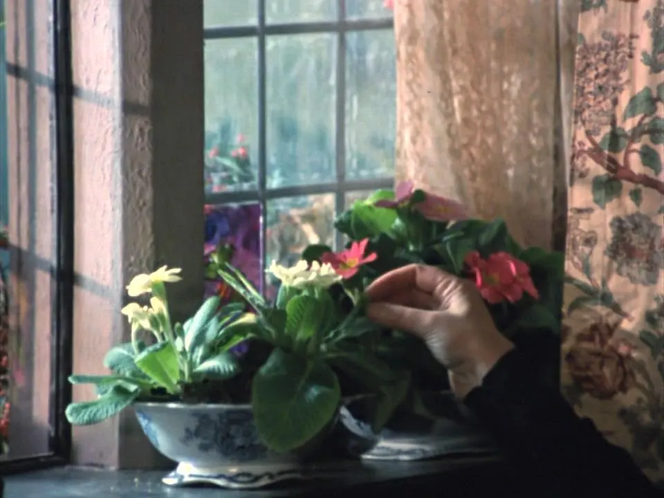 威斯特里亚寓所剧照3