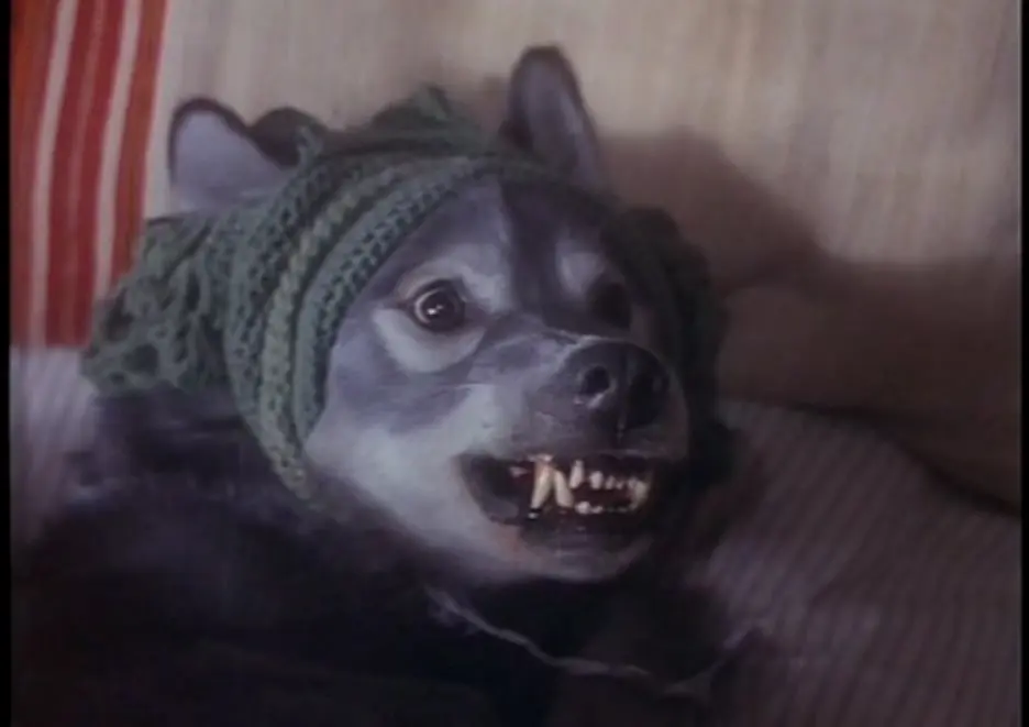 再见，小红帽！剧照1