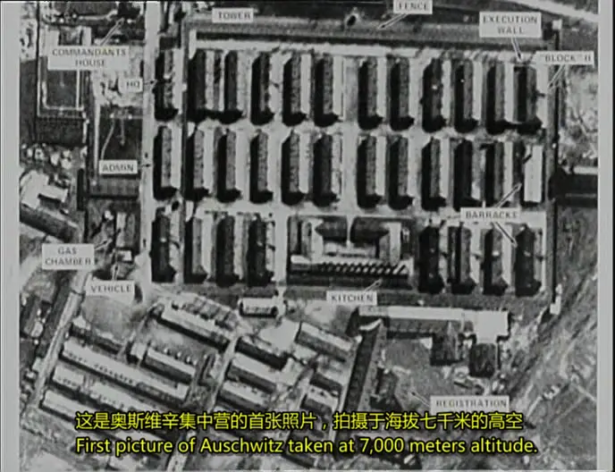 世界的图像及战争的铭文剧照1