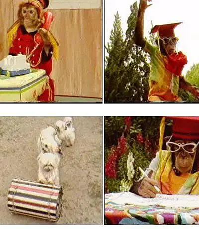 毛毛和哈利剧照1