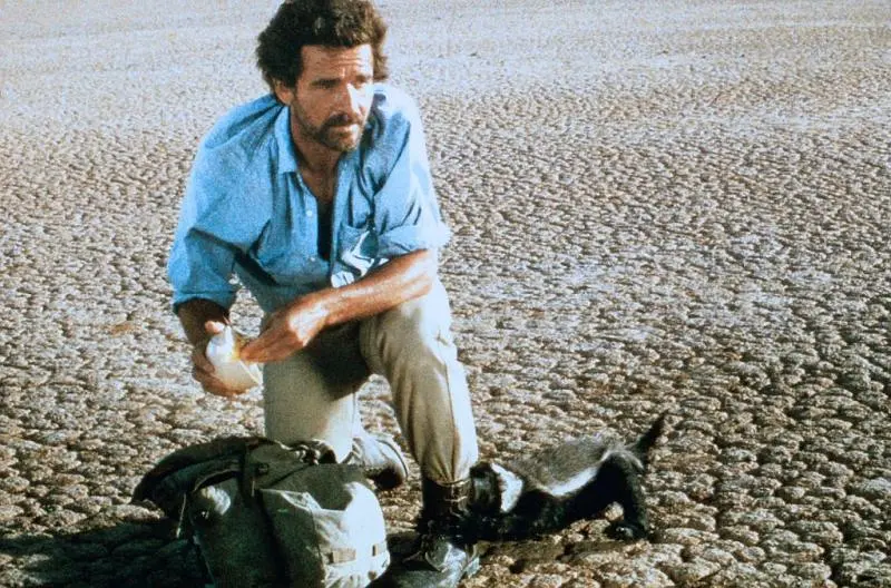 上帝也疯狂2剧照1