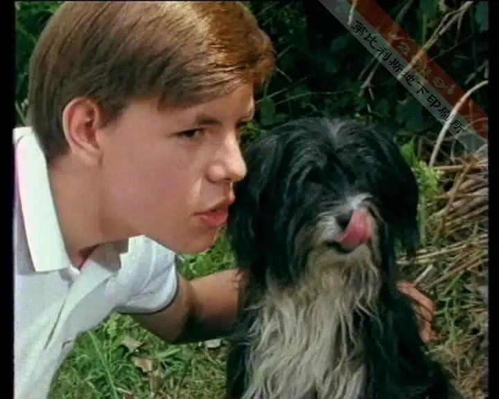 童犬埃里克 试播集剧照3