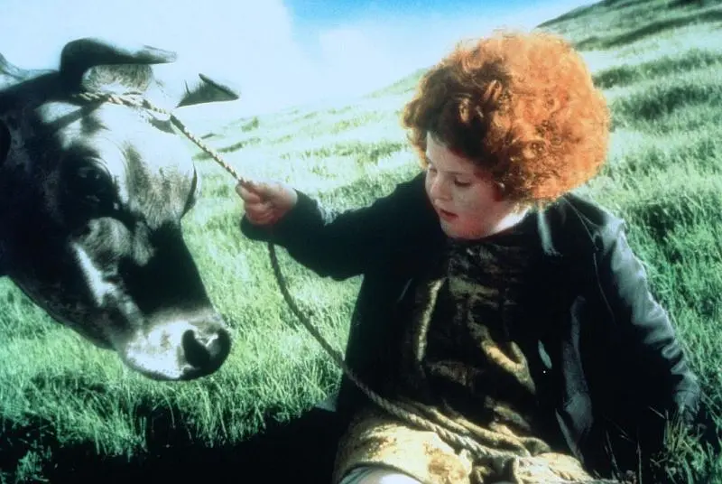 天使与我同桌剧照1