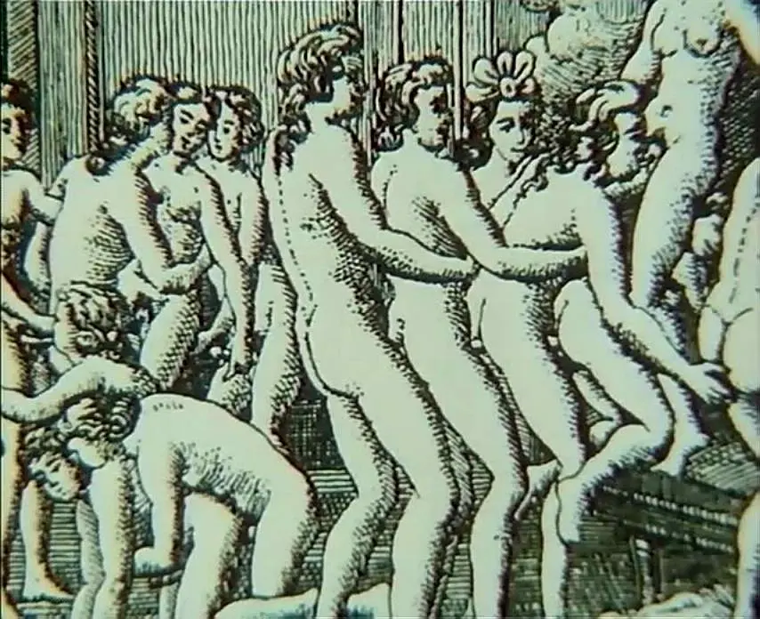 斯大林主义在波希米亚的终结剧照3