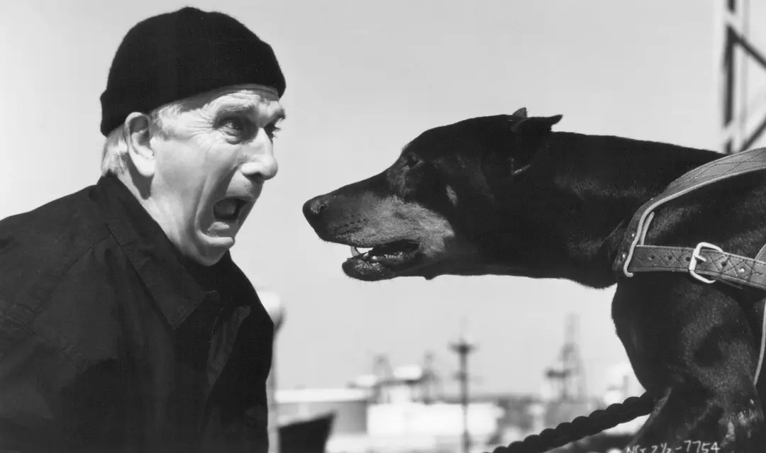 白头神探2½：恐怖的气味剧照2