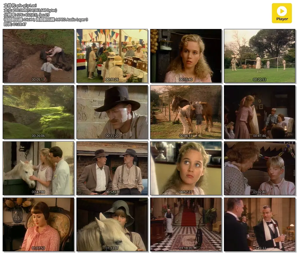 金色小提琴剧照1