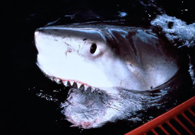 亚特兰蒂斯剧照1