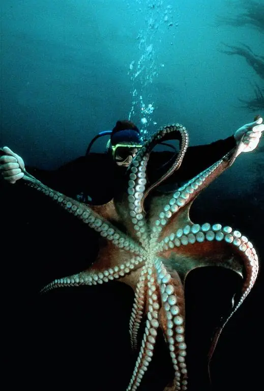 亚特兰蒂斯剧照2