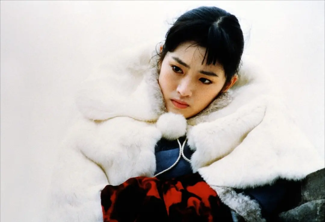 大红灯笼高高挂剧照1