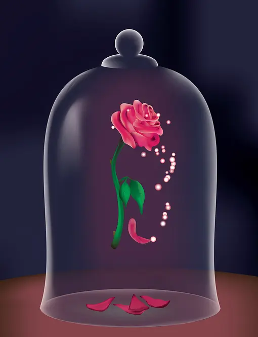 美女与野兽剧照2