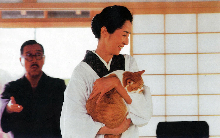 袅袅夕阳情剧照1