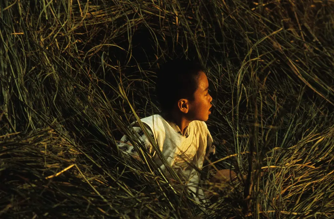 袅袅夕阳情剧照3