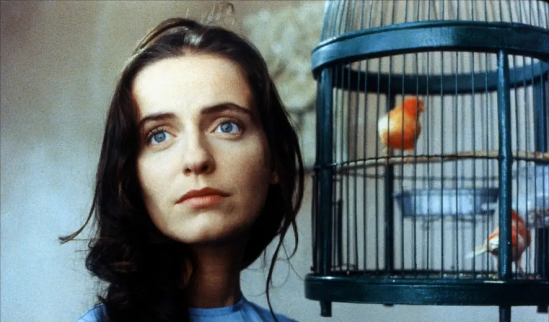 亚伯拉罕山谷剧照2