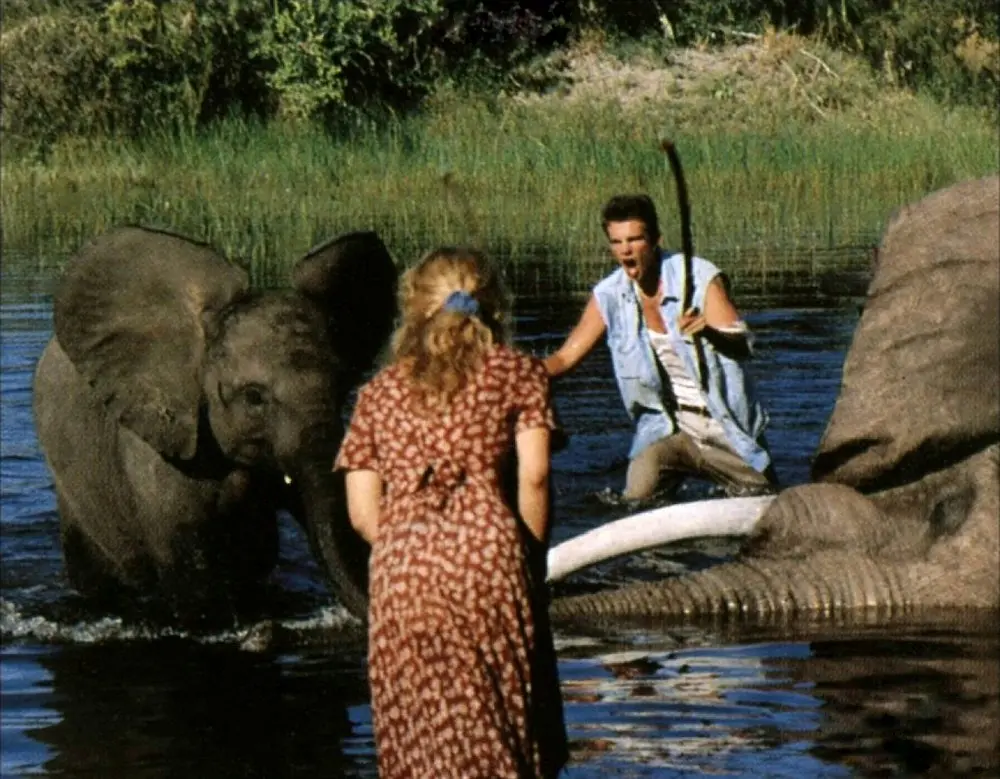 非洲历险记剧照2