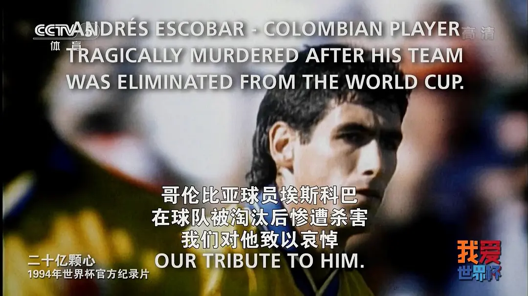 二十亿颗心：1994年世界杯官方纪录片剧照2