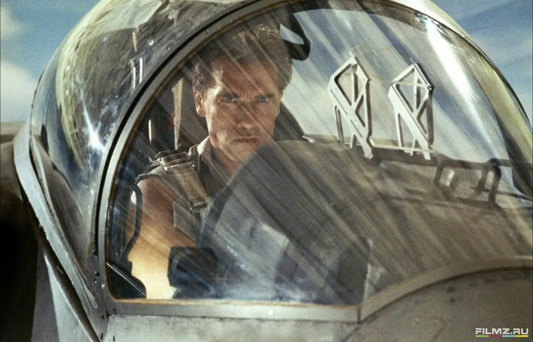 真实的谎言剧照2