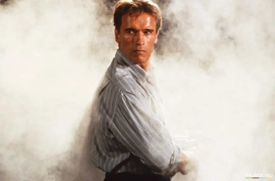 真实的谎言剧照3