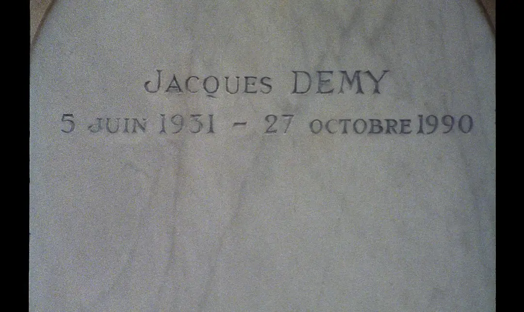 雅克·德米的世界剧照3