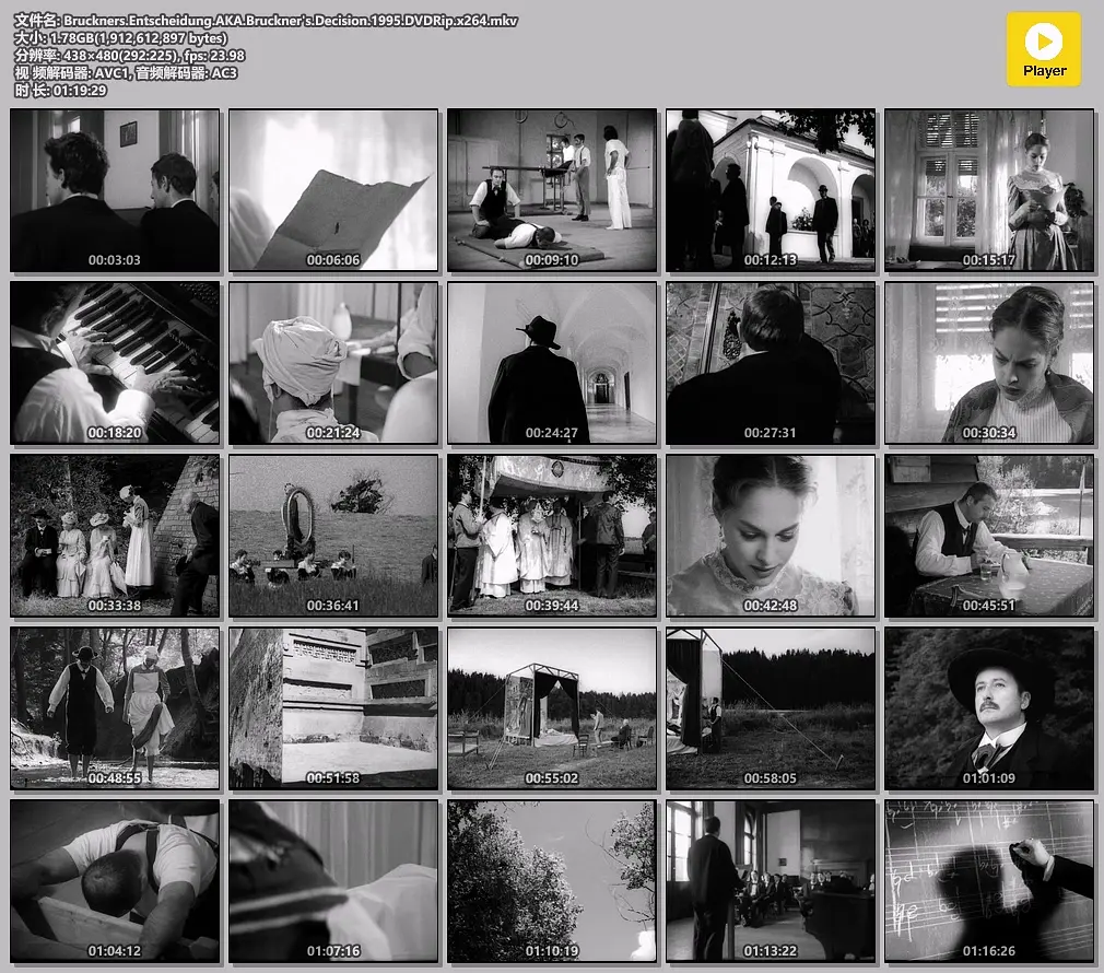 布鲁克纳的抉择剧照1