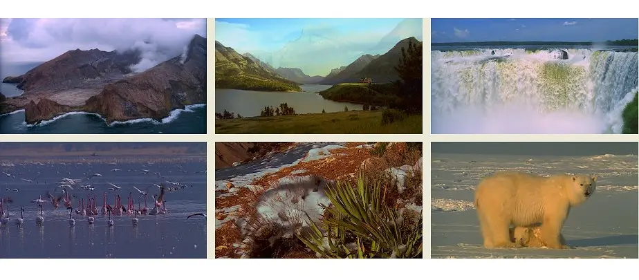 迷人的大自然剧照1