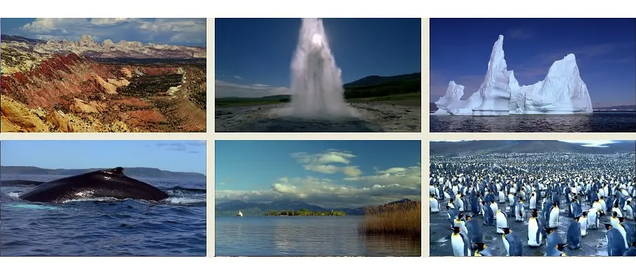 迷人的大自然剧照2