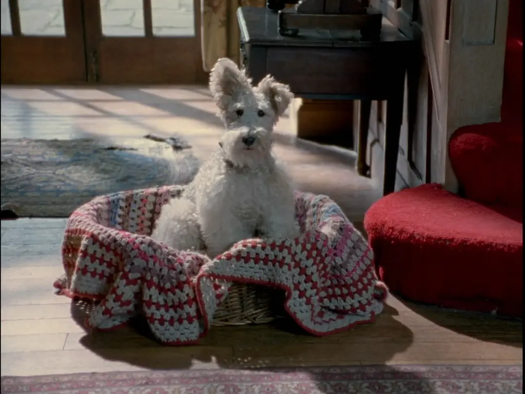 无言的证人剧照1