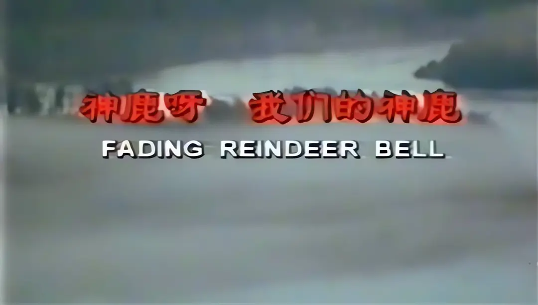 神鹿呀,我们的神鹿剧照1
