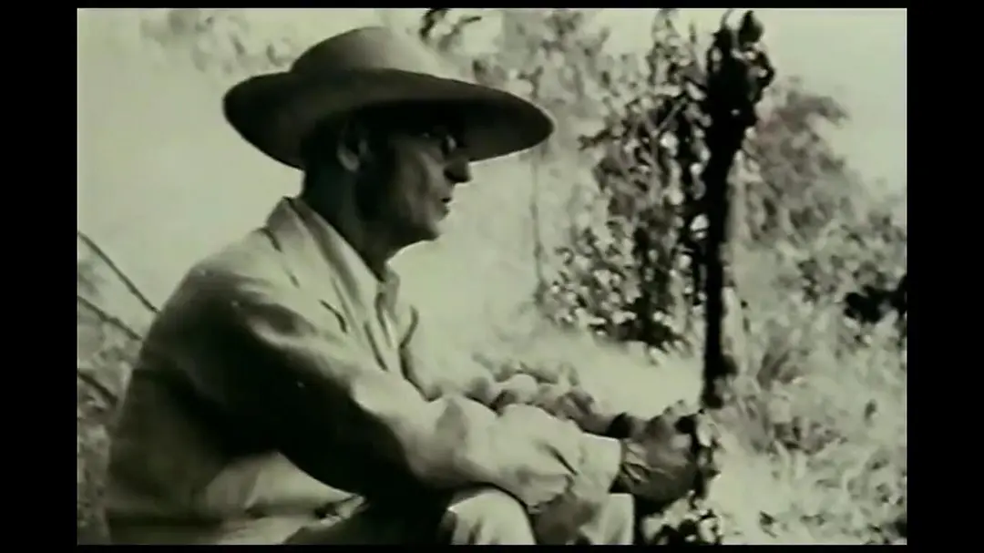 赫尔曼·黑塞的漫长夏日剧照1