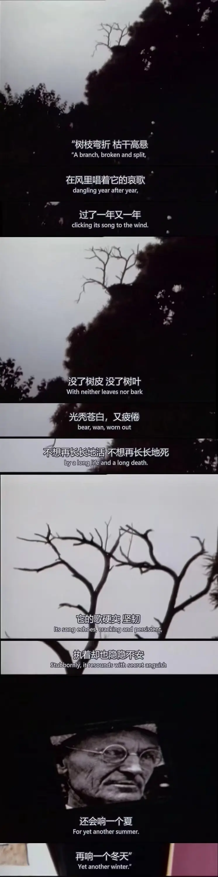 赫尔曼·黑塞的漫长夏日剧照2